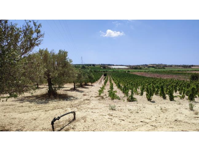 Anteprima foto 1 - Terreno Agricolo/Coltura in Vendita a Noto - San Lorenzo