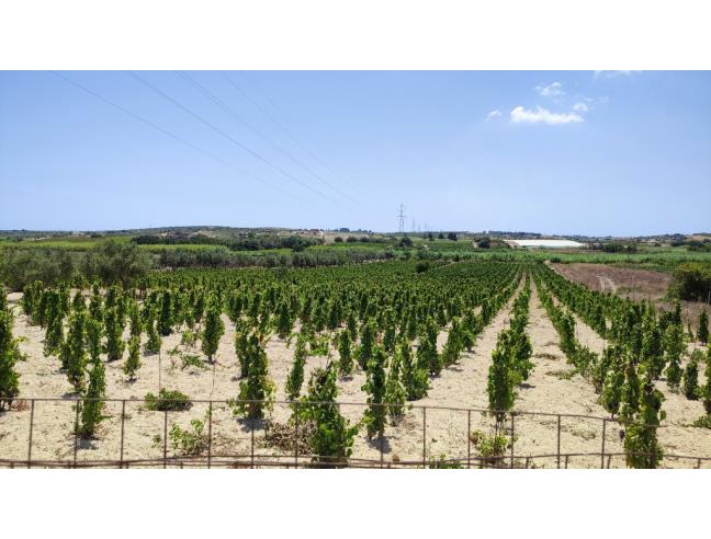 Anteprima foto 2 - Terreno Agricolo/Coltura in Vendita a Noto - San Lorenzo