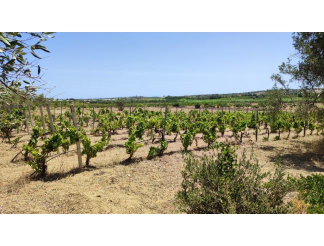Anteprima foto 4 - Terreno Agricolo/Coltura in Vendita a Noto - San Lorenzo