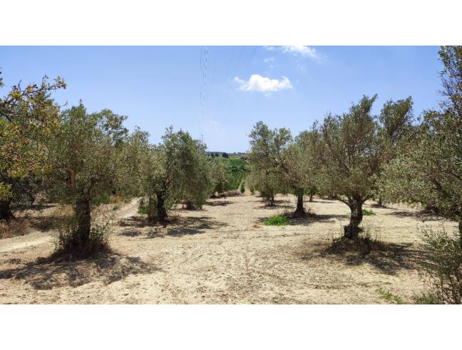 Anteprima foto 7 - Terreno Agricolo/Coltura in Vendita a Noto - San Lorenzo