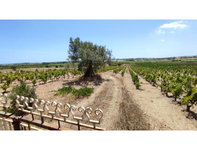 Anteprima foto 8 - Terreno Agricolo/Coltura in Vendita a Noto - San Lorenzo