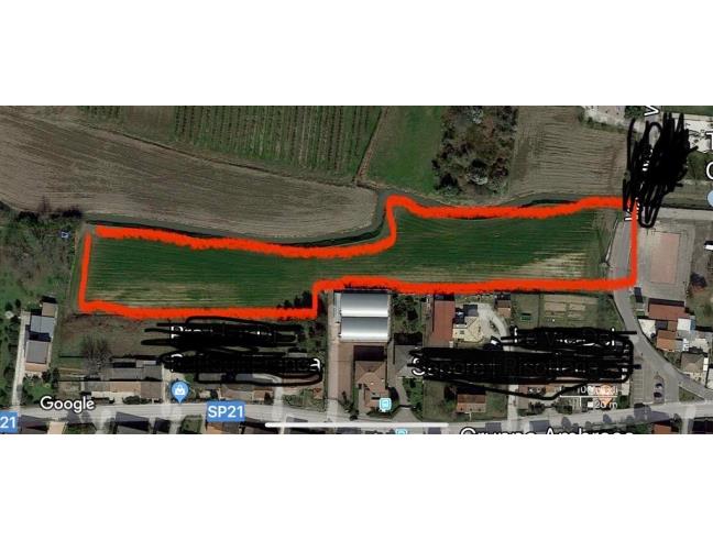 Anteprima foto 1 - Terreno Agricolo/Coltura in Vendita a Oppeano (Verona)