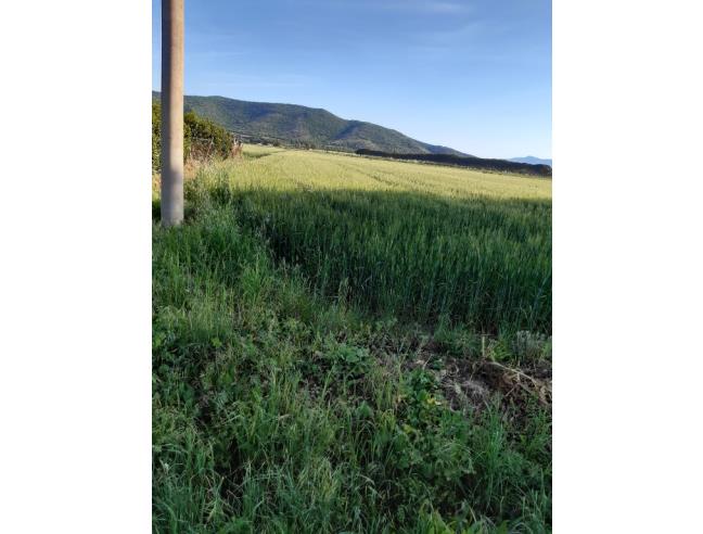 Anteprima foto 1 - Terreno Agricolo/Coltura in Vendita a Orbetello - Albinia