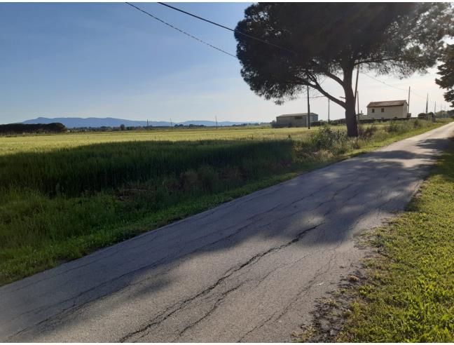Anteprima foto 2 - Terreno Agricolo/Coltura in Vendita a Orbetello - Albinia