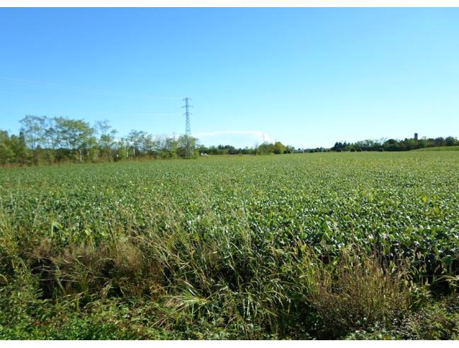 Anteprima foto 2 - Terreno Agricolo/Coltura in Vendita a Ornago (Monza e Brianza)