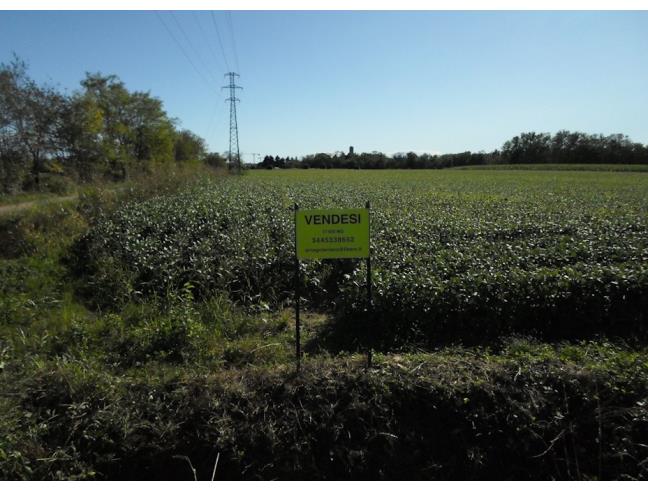 Anteprima foto 4 - Terreno Agricolo/Coltura in Vendita a Ornago (Monza e Brianza)