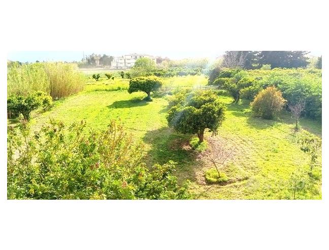 Anteprima foto 1 - Terreno Agricolo/Coltura in Vendita a Orosei (Nuoro)