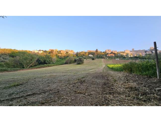 Anteprima foto 1 - Terreno Agricolo/Coltura in Vendita a Osimo (Ancona)