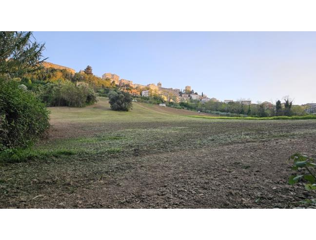 Anteprima foto 2 - Terreno Agricolo/Coltura in Vendita a Osimo (Ancona)