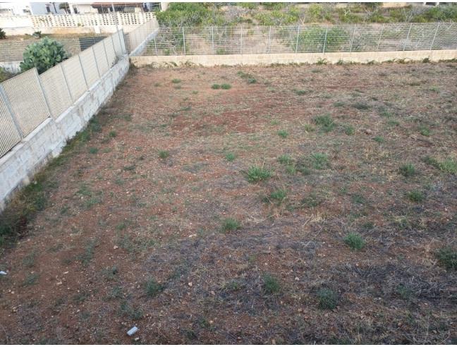 Anteprima foto 6 - Terreno Agricolo/Coltura in Vendita a Ostuni - Villanova