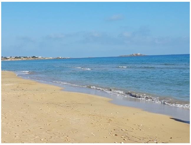 Anteprima foto 5 - Terreno Agricolo/Coltura in Vendita a Pachino (Siracusa)