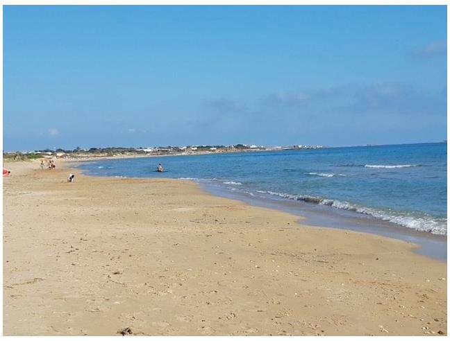 Anteprima foto 6 - Terreno Agricolo/Coltura in Vendita a Pachino (Siracusa)