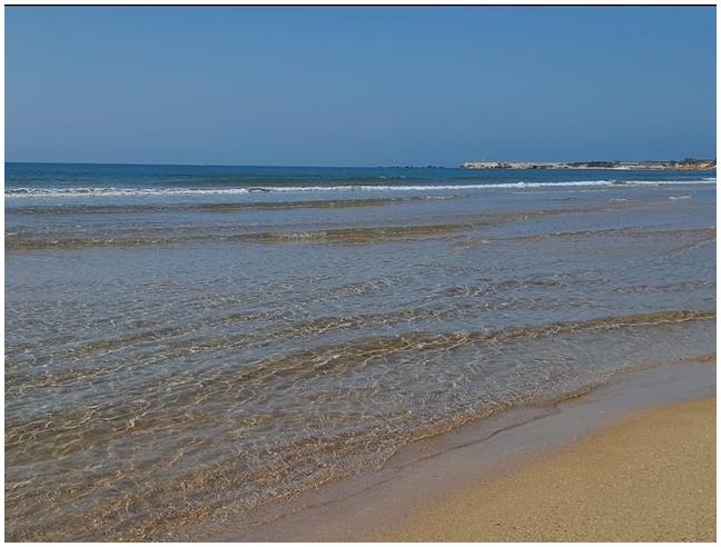 Anteprima foto 7 - Terreno Agricolo/Coltura in Vendita a Pachino (Siracusa)