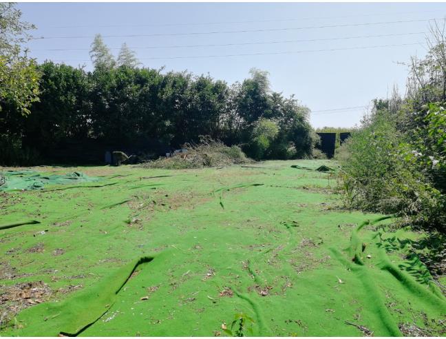 Anteprima foto 2 - Terreno Agricolo/Coltura in Vendita a Parabiago (Milano)