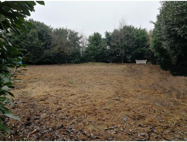 Anteprima foto 2 - Terreno Agricolo/Coltura in Vendita a Parabiago - Villastanza