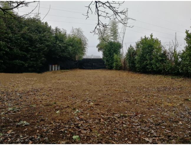 Anteprima foto 4 - Terreno Agricolo/Coltura in Vendita a Parabiago - Villastanza
