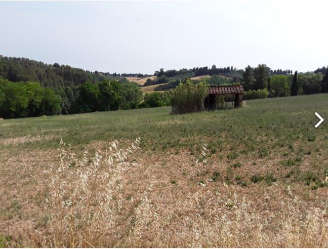 Anteprima foto 1 - Terreno Agricolo/Coltura in Vendita a Peccioli - Fabbrica