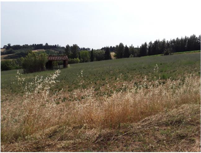 Anteprima foto 2 - Terreno Agricolo/Coltura in Vendita a Peccioli - Fabbrica