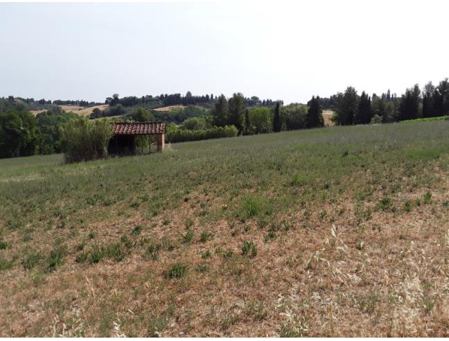 Anteprima foto 3 - Terreno Agricolo/Coltura in Vendita a Peccioli - Fabbrica