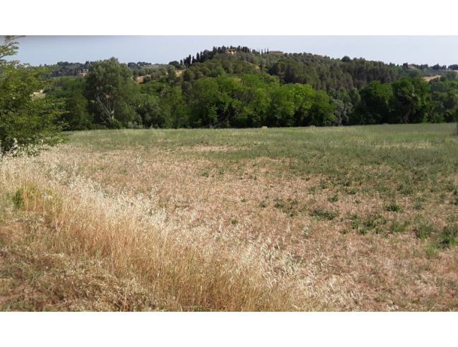 Anteprima foto 5 - Terreno Agricolo/Coltura in Vendita a Peccioli - Fabbrica