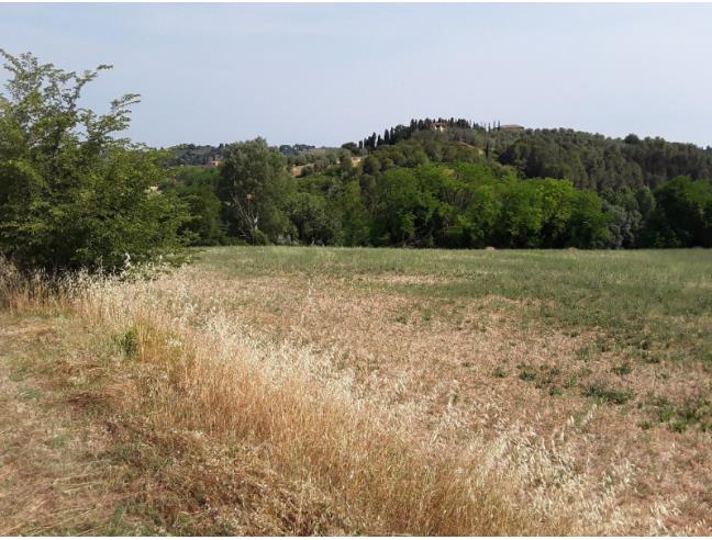 Anteprima foto 6 - Terreno Agricolo/Coltura in Vendita a Peccioli - Fabbrica