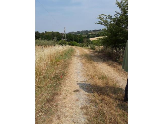 Anteprima foto 7 - Terreno Agricolo/Coltura in Vendita a Peccioli - Fabbrica
