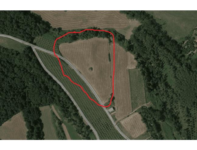 Anteprima foto 8 - Terreno Agricolo/Coltura in Vendita a Peccioli - Fabbrica