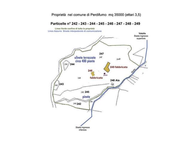 Anteprima foto 1 - Terreno Agricolo/Coltura in Vendita a Perdifumo - Vatolla