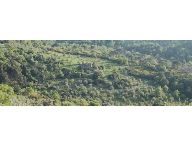 Anteprima foto 3 - Terreno Agricolo/Coltura in Vendita a Perdifumo - Vatolla