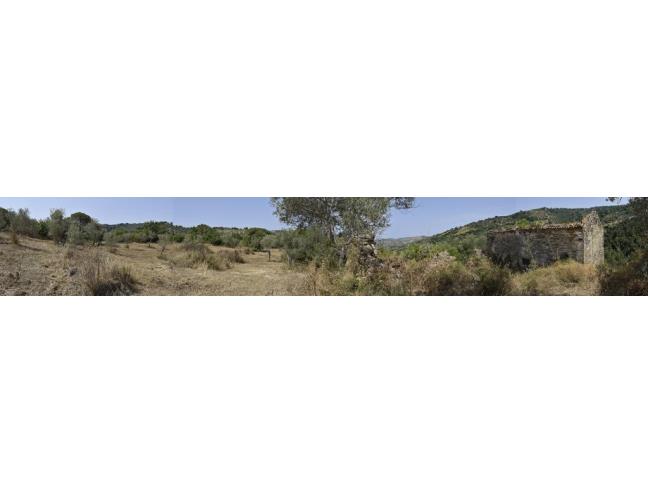 Anteprima foto 4 - Terreno Agricolo/Coltura in Vendita a Perdifumo - Vatolla