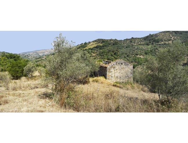 Anteprima foto 5 - Terreno Agricolo/Coltura in Vendita a Perdifumo - Vatolla