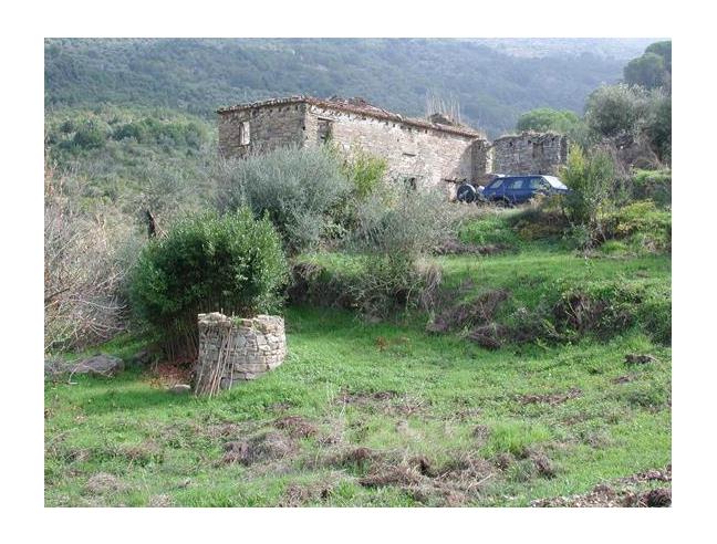 Anteprima foto 6 - Terreno Agricolo/Coltura in Vendita a Perdifumo - Vatolla