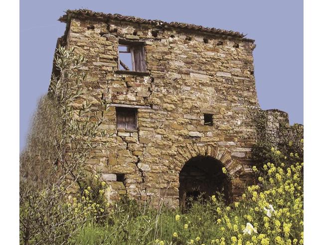 Anteprima foto 7 - Terreno Agricolo/Coltura in Vendita a Perdifumo - Vatolla