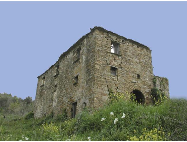 Anteprima foto 8 - Terreno Agricolo/Coltura in Vendita a Perdifumo - Vatolla