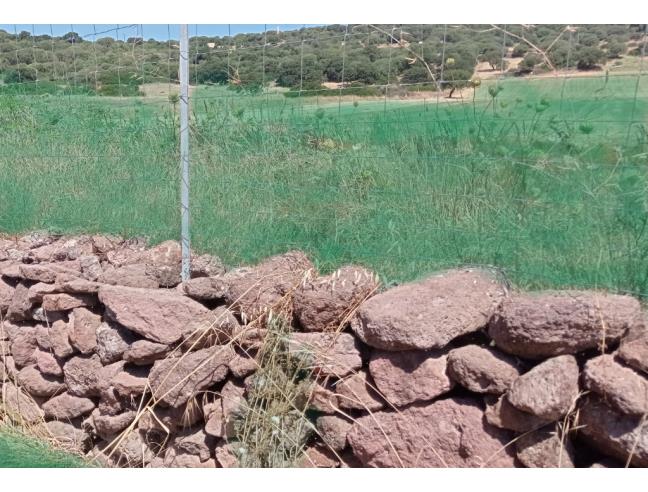 Anteprima foto 3 - Terreno Agricolo/Coltura in Vendita a Perfugas (Sassari)