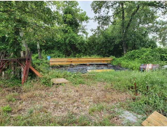 Anteprima foto 3 - Terreno Agricolo/Coltura in Vendita a Perugia - Colle Umberto