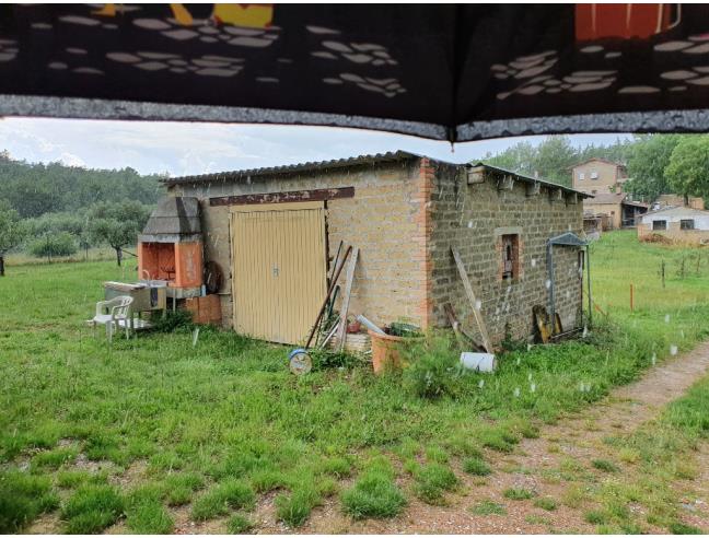 Anteprima foto 4 - Terreno Agricolo/Coltura in Vendita a Perugia - Colle Umberto