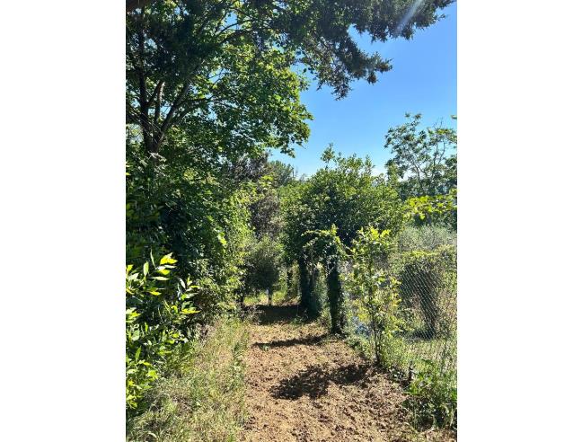 Anteprima foto 5 - Terreno Agricolo/Coltura in Vendita a Pesaro (Pesaro e Urbino)