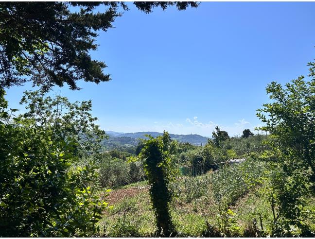 Anteprima foto 6 - Terreno Agricolo/Coltura in Vendita a Pesaro (Pesaro e Urbino)