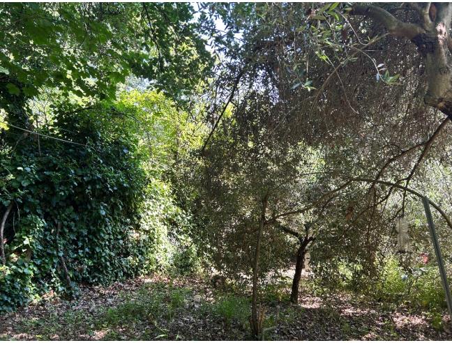 Anteprima foto 8 - Terreno Agricolo/Coltura in Vendita a Pesaro (Pesaro e Urbino)