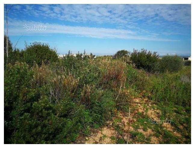 Anteprima foto 1 - Terreno Agricolo/Coltura in Vendita a Petrosino (Trapani)