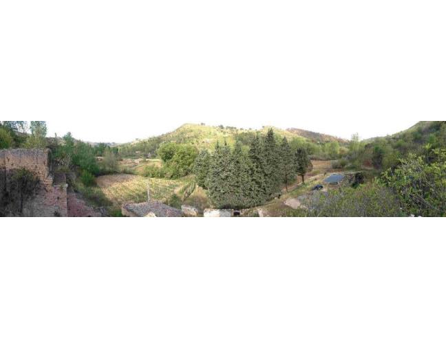 Anteprima foto 2 - Terreno Agricolo/Coltura in Vendita a Piazza Armerina (Enna)