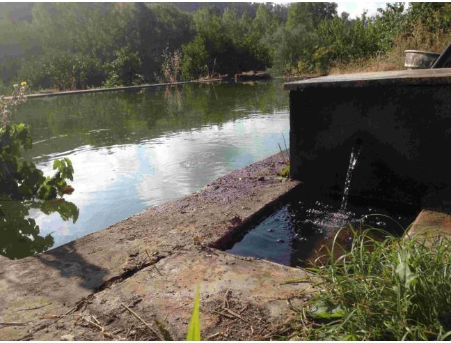 Anteprima foto 6 - Terreno Agricolo/Coltura in Vendita a Piazza Armerina (Enna)