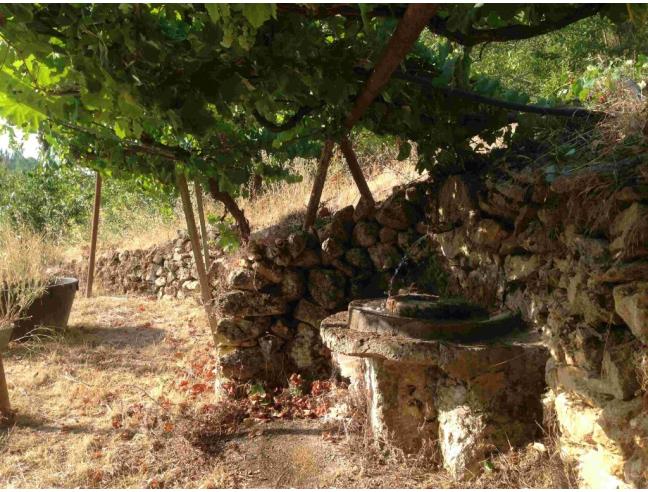 Anteprima foto 7 - Terreno Agricolo/Coltura in Vendita a Piazza Armerina (Enna)