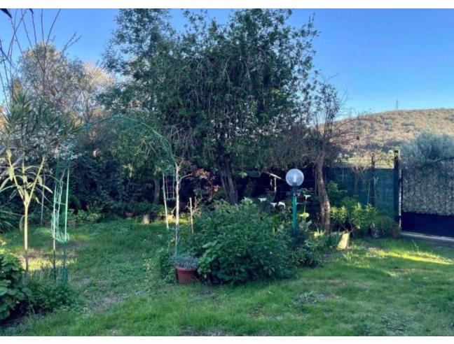 Anteprima foto 2 - Terreno Agricolo/Coltura in Vendita a Piombino - Baratti