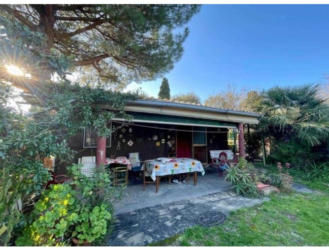 Anteprima foto 5 - Terreno Agricolo/Coltura in Vendita a Piombino - Baratti