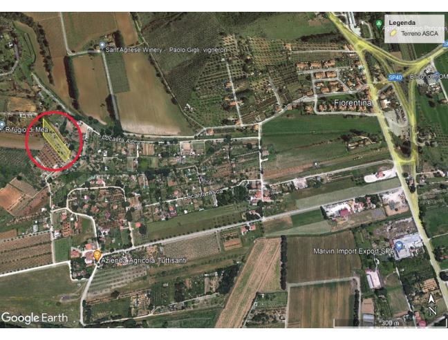 Anteprima foto 2 - Terreno Agricolo/Coltura in Vendita a Piombino - Fiorentina