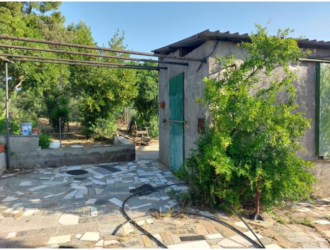 Anteprima foto 3 - Terreno Agricolo/Coltura in Vendita a Piombino - Fiorentina
