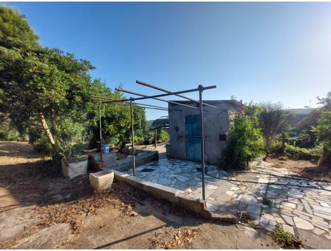 Anteprima foto 3 - Terreno Agricolo/Coltura in Vendita a Piombino (Livorno)