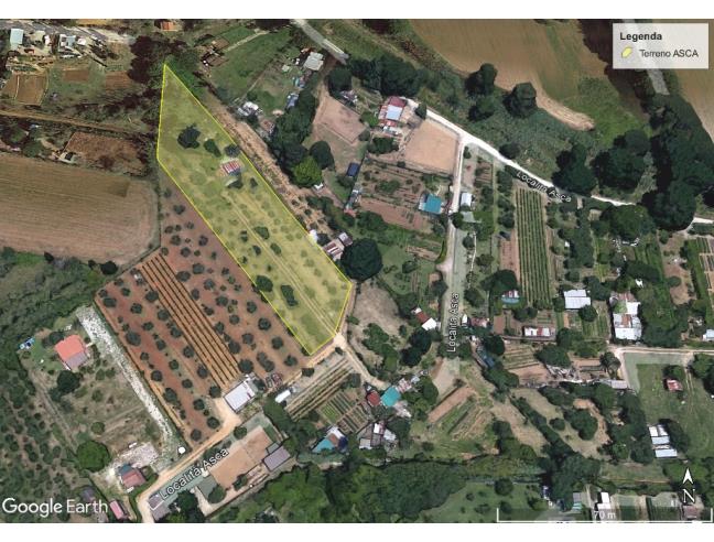 Anteprima foto 6 - Terreno Agricolo/Coltura in Vendita a Piombino (Livorno)